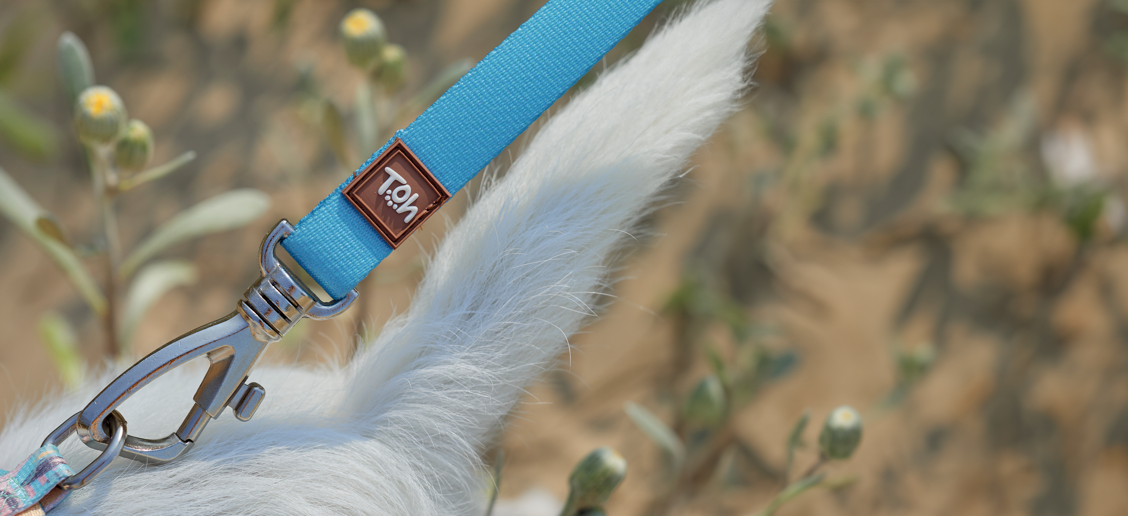 Leashes