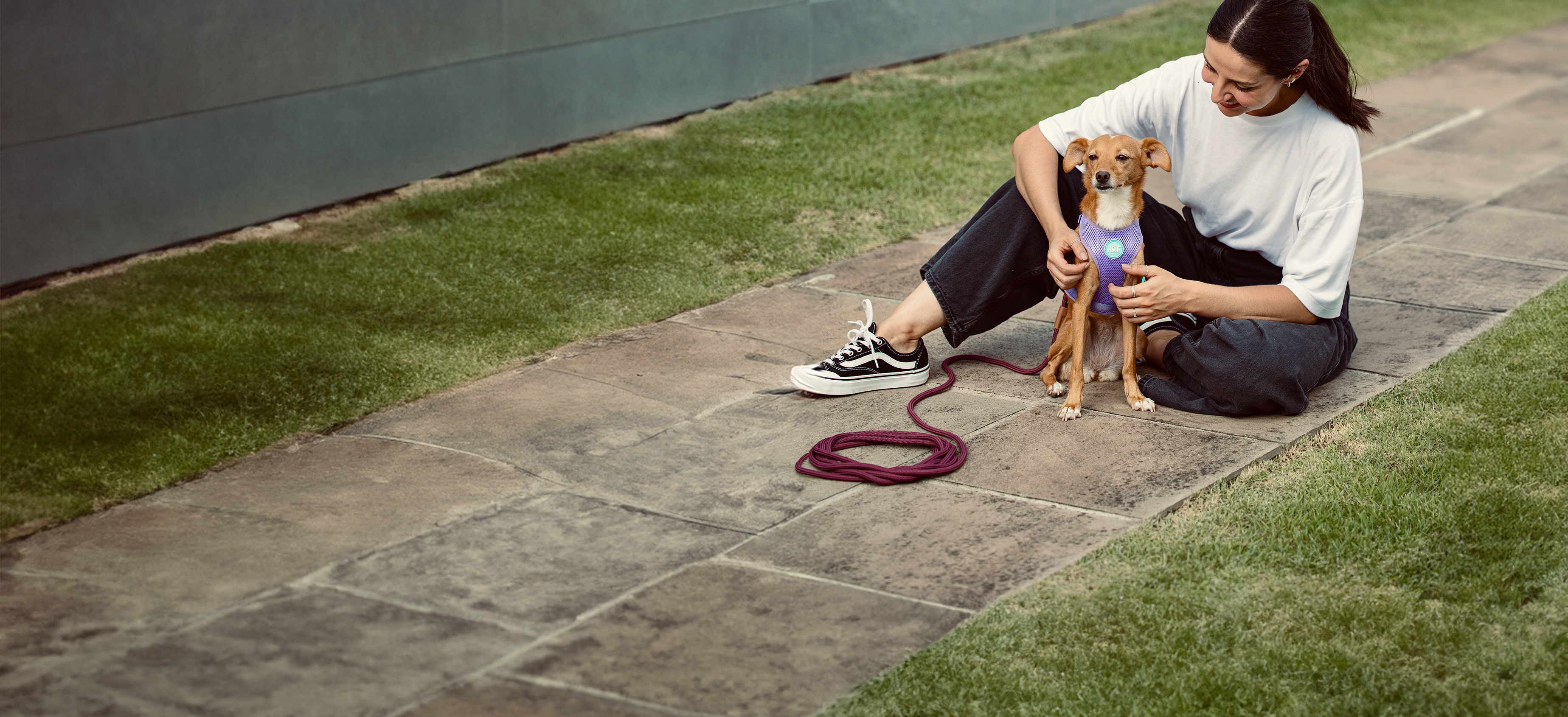 Rope Long Dog Leash