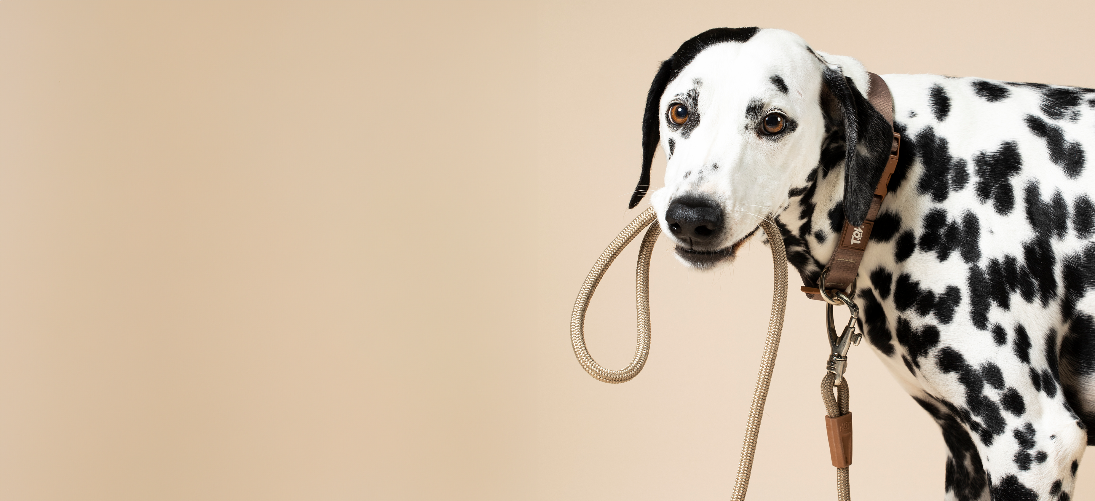 1.20 Meter Rope Leash