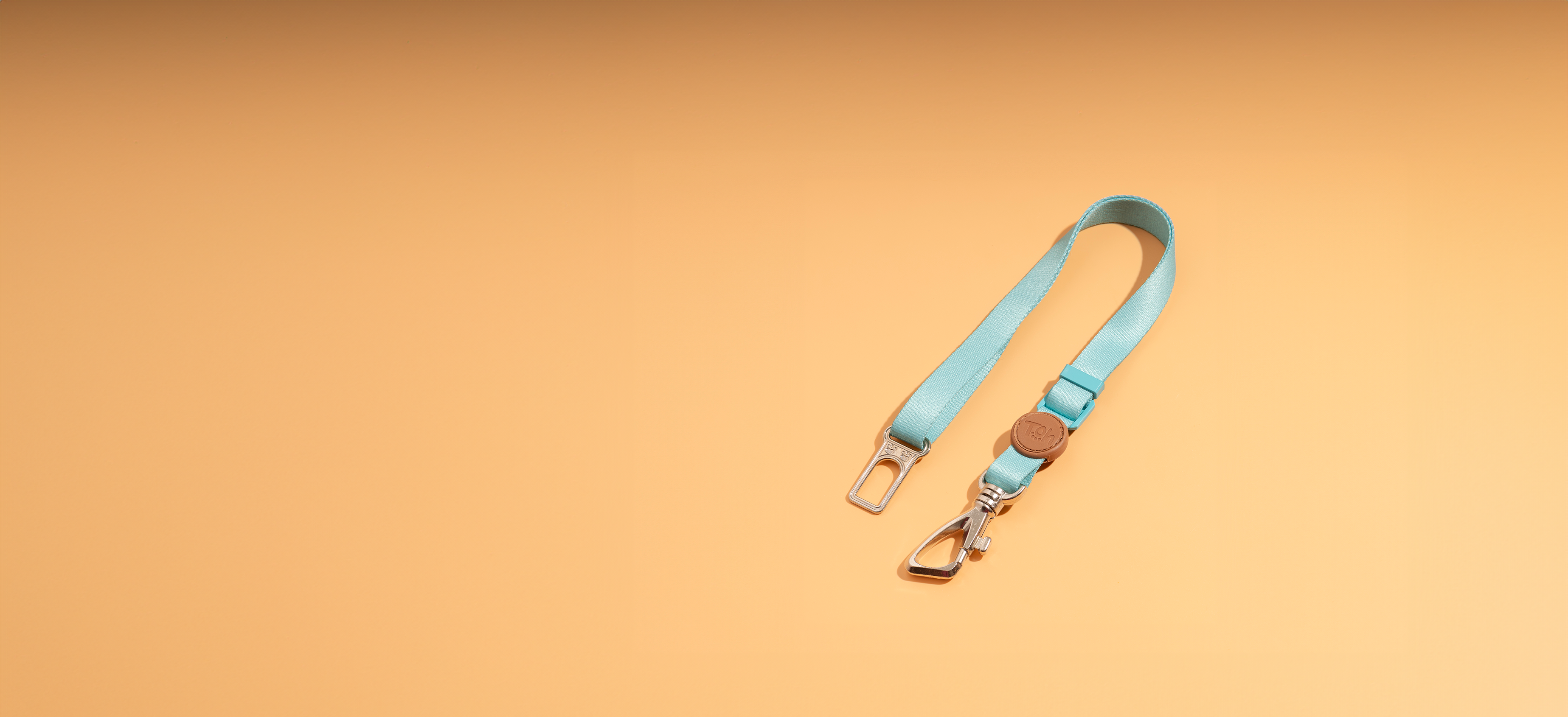 Seat Belt Dog Tether