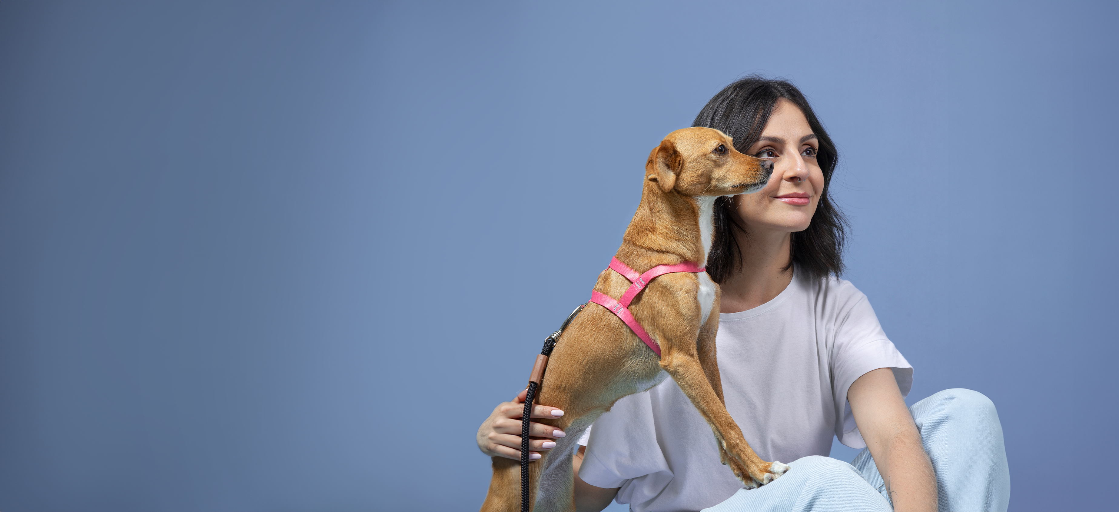 Basic Harness + Leash