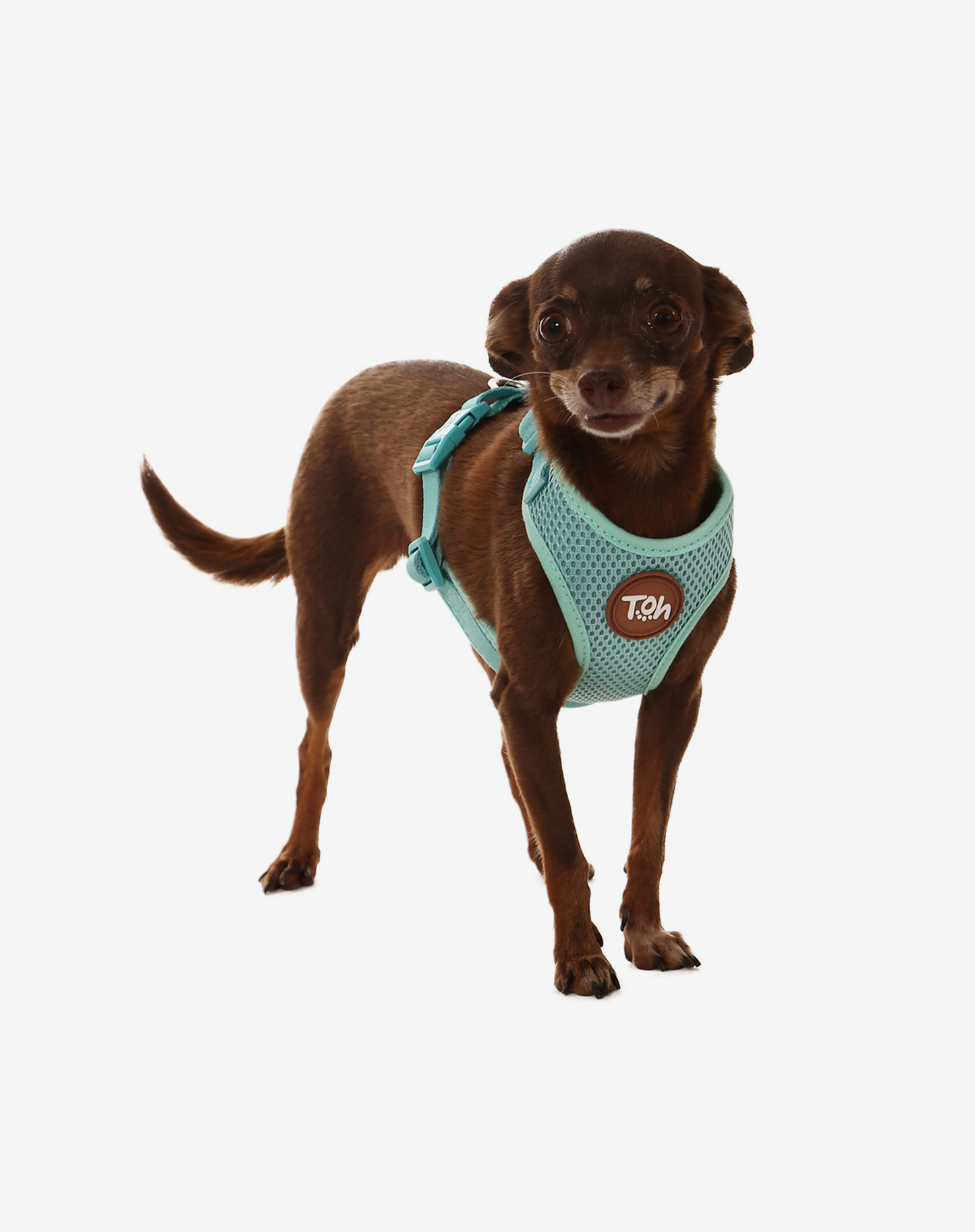 Arnês para cães H-Mesh Maresia