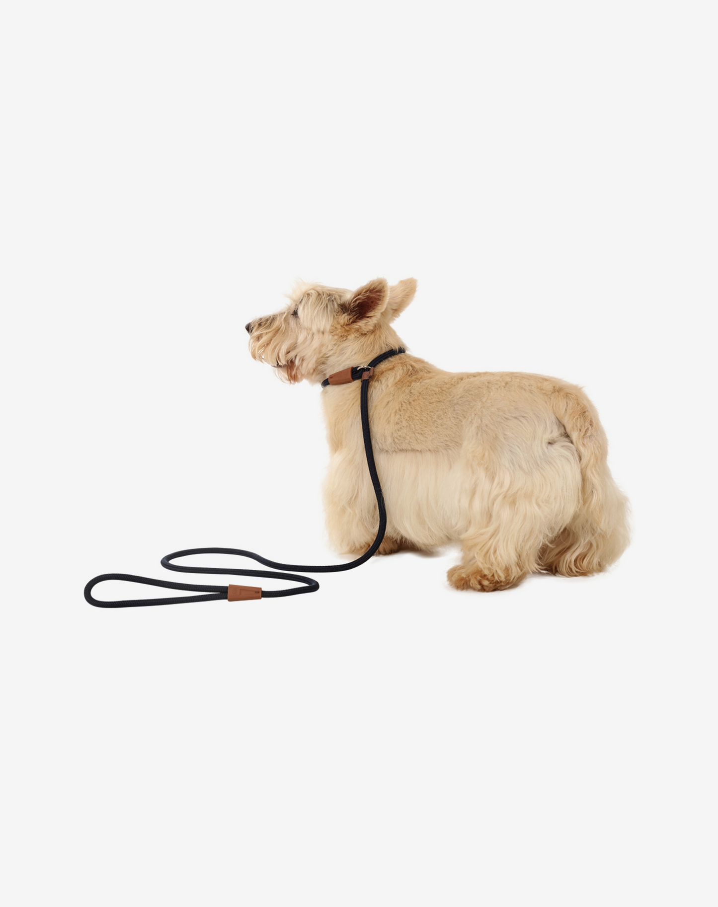 Corda Slip Dog Lead Azul Marinho