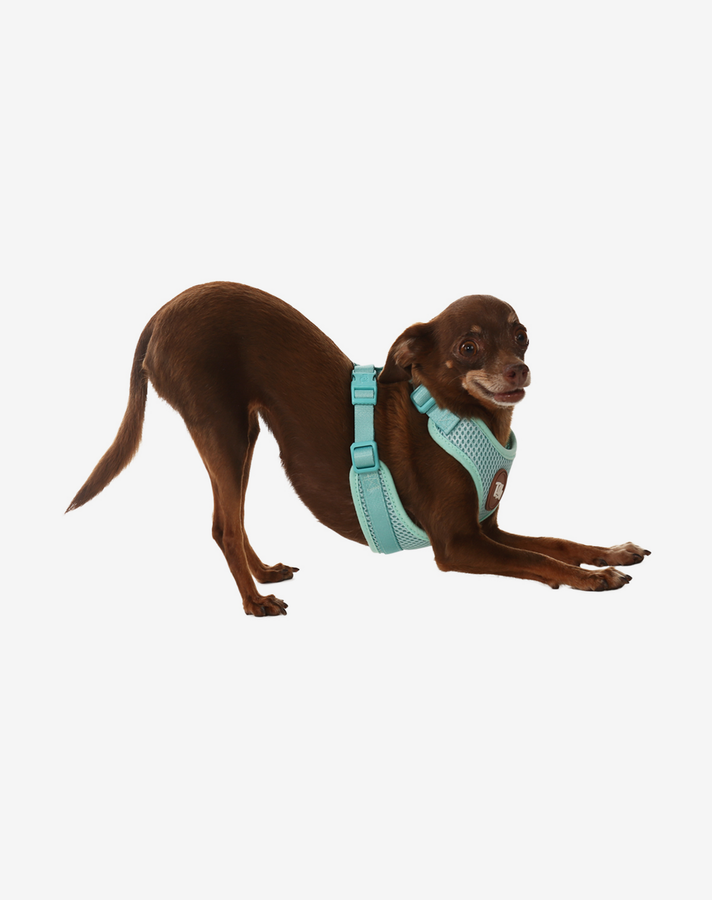 Arnês para cães H-Mesh Maresia