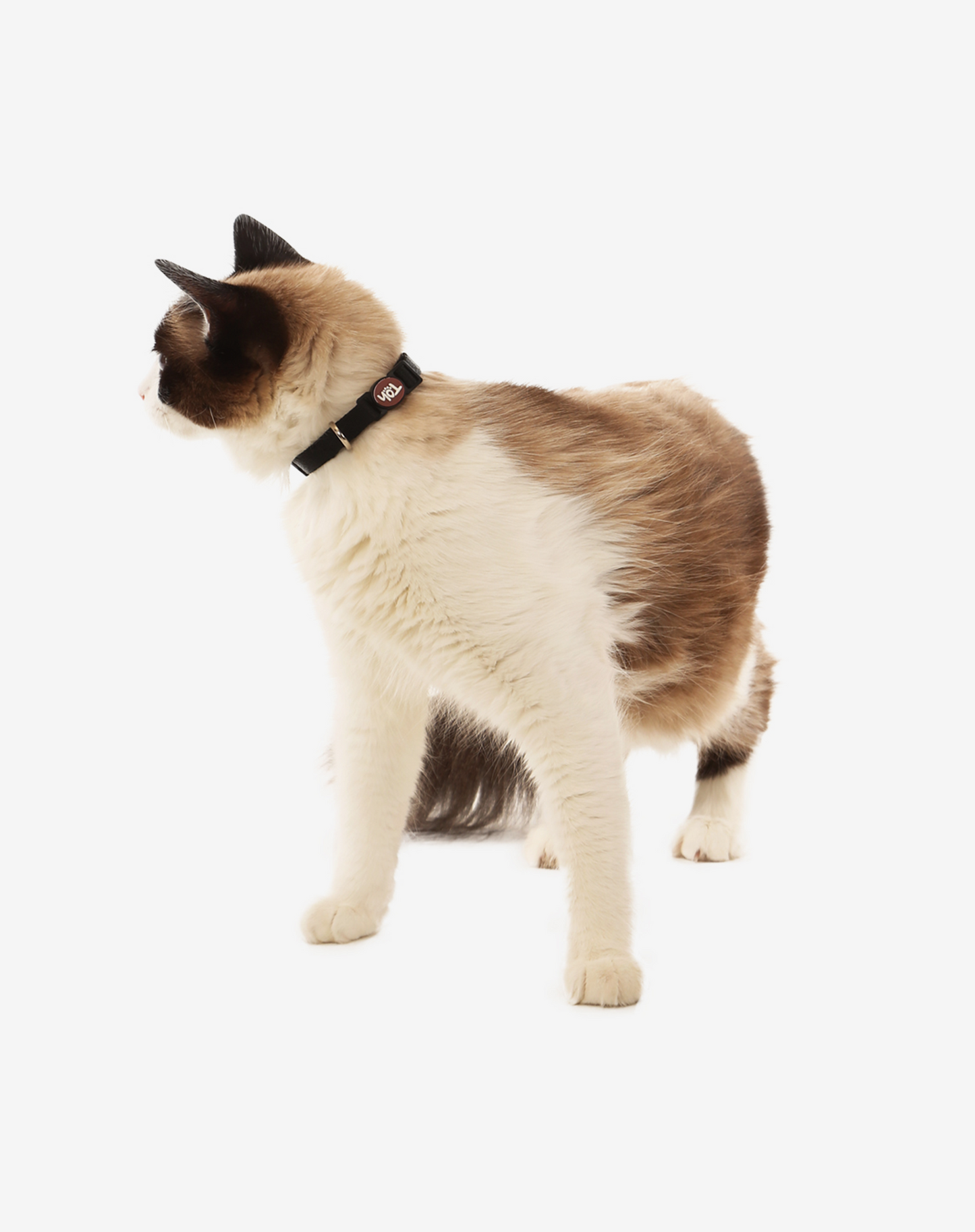 Coleira de gato preta