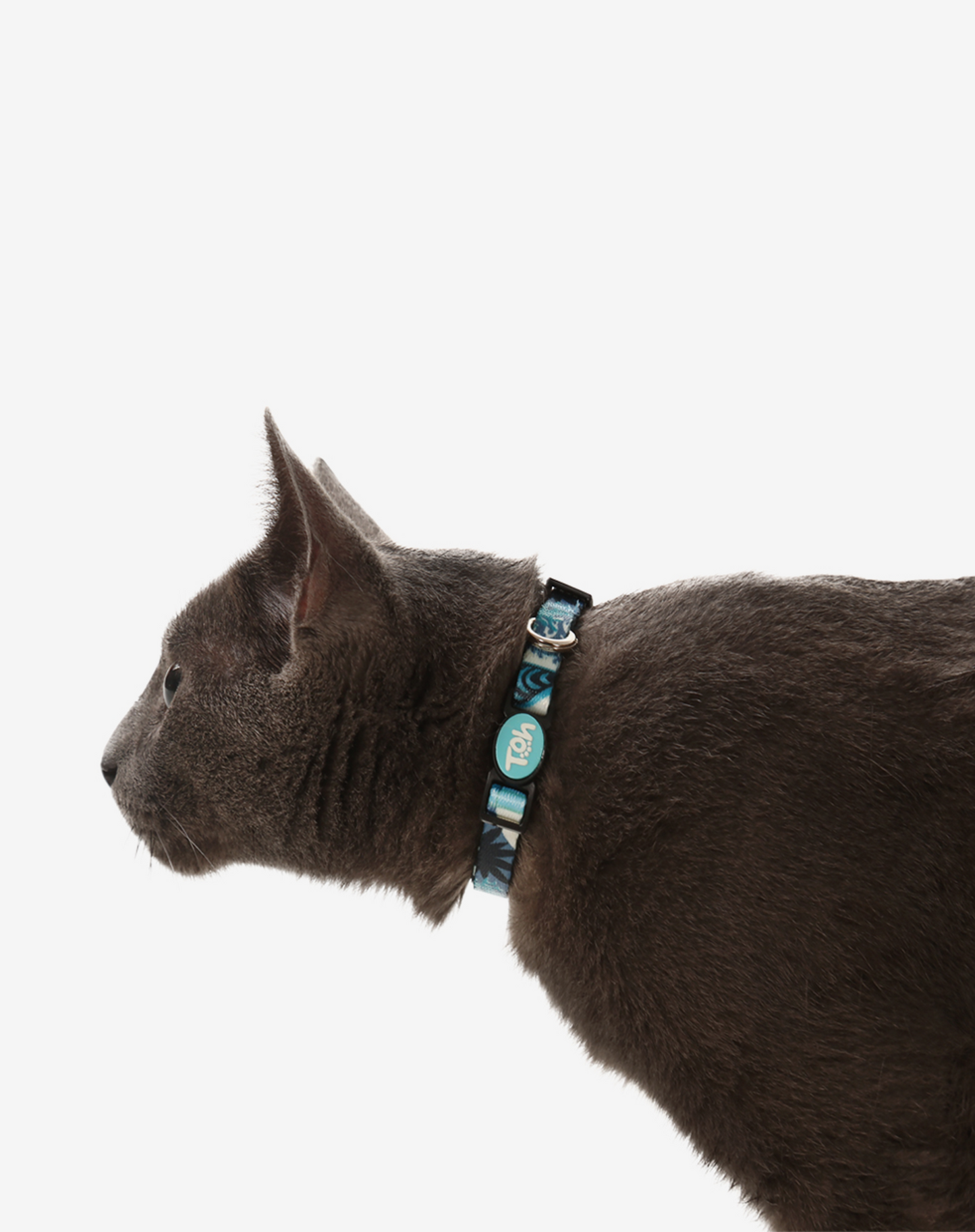 Coleira para Gato Noronha