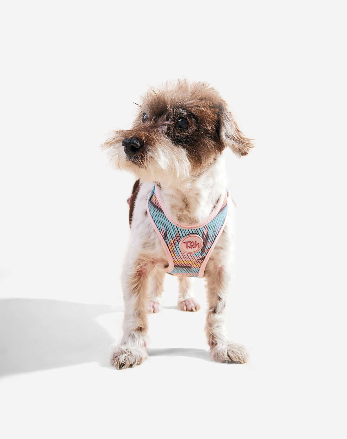 H-Mesh Arnês para cães Atacama