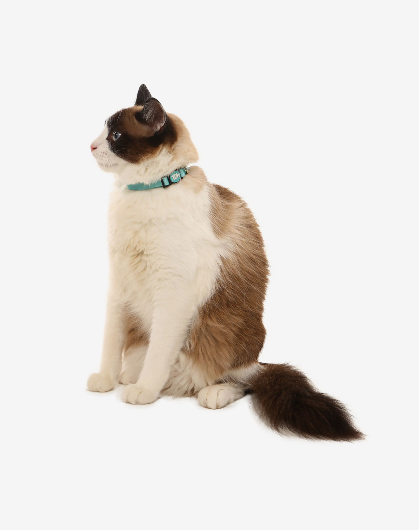 Coleira para Gato Maresia