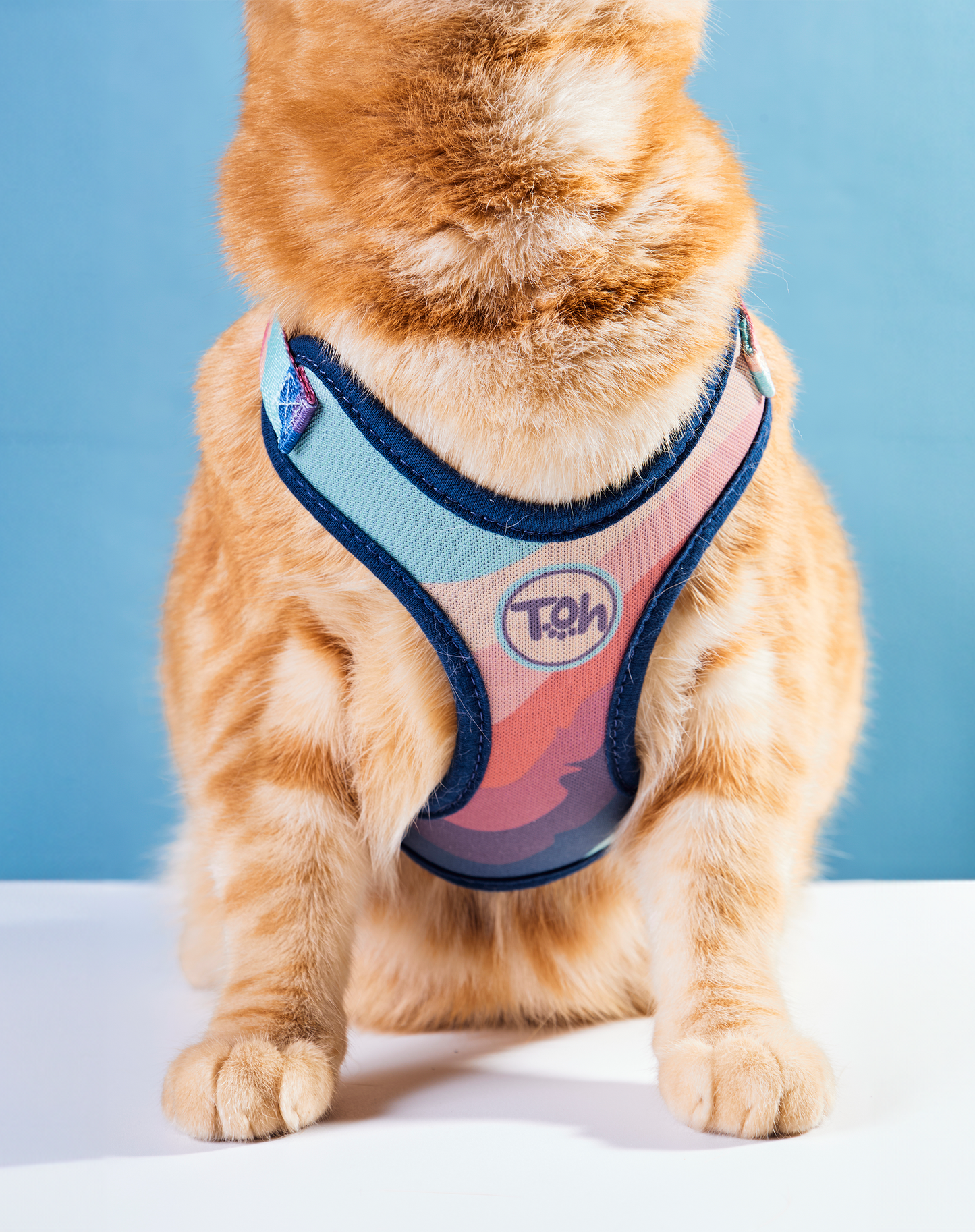 Cat H-Harness Comfort + Leash Set Alpaca