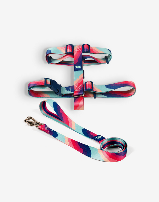 O conjunto H-Harness + Leash Alpaca