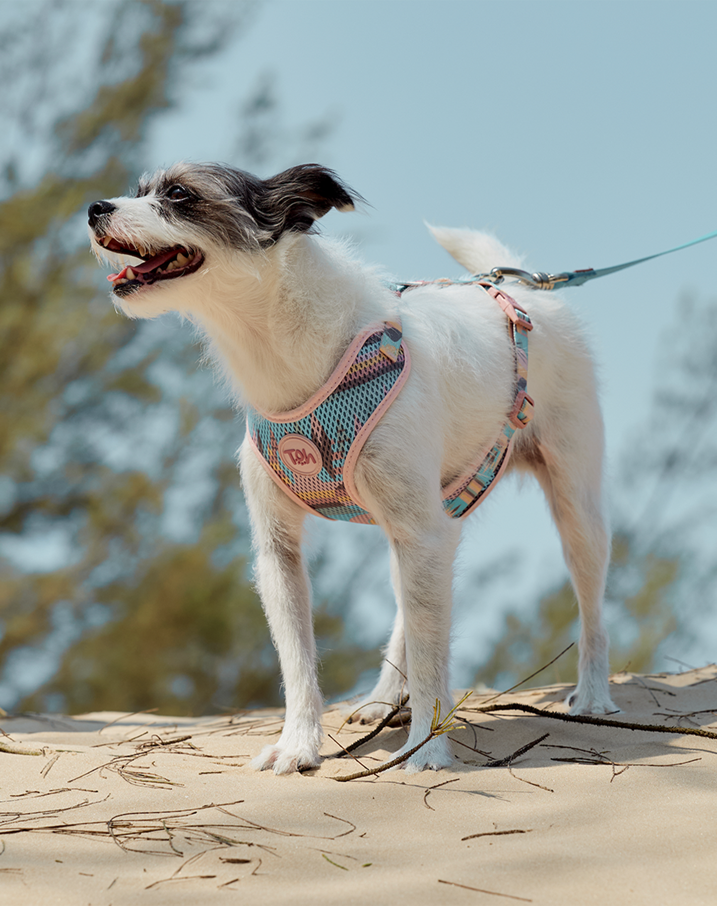 H-Mesh Arnês para cães Atacama