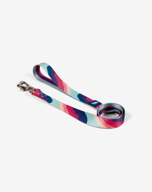 Coleira para Cachorro S Alpaca