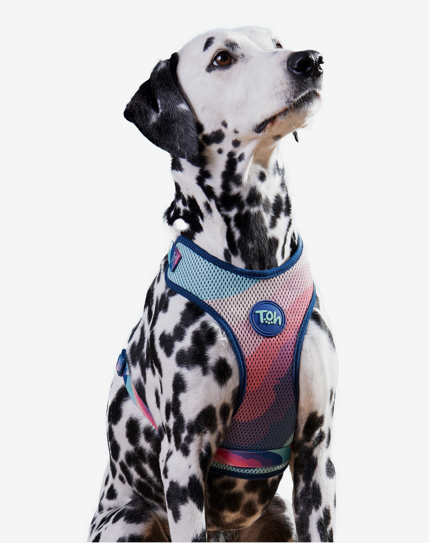 H-Mesh Arnês para cães Alpaca