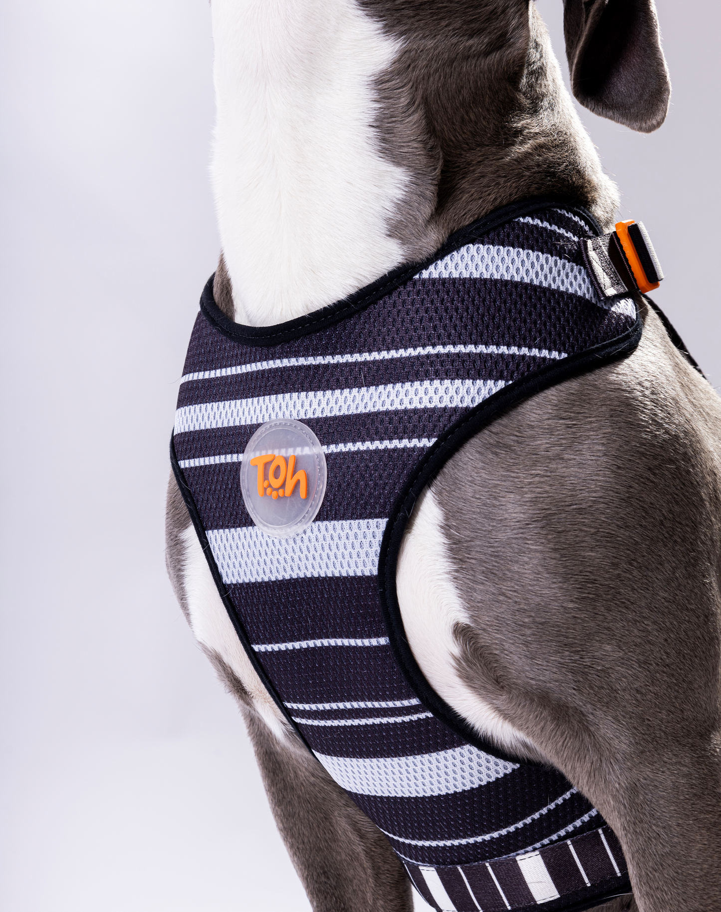 Arnês para cães H-Mesh Eclipse