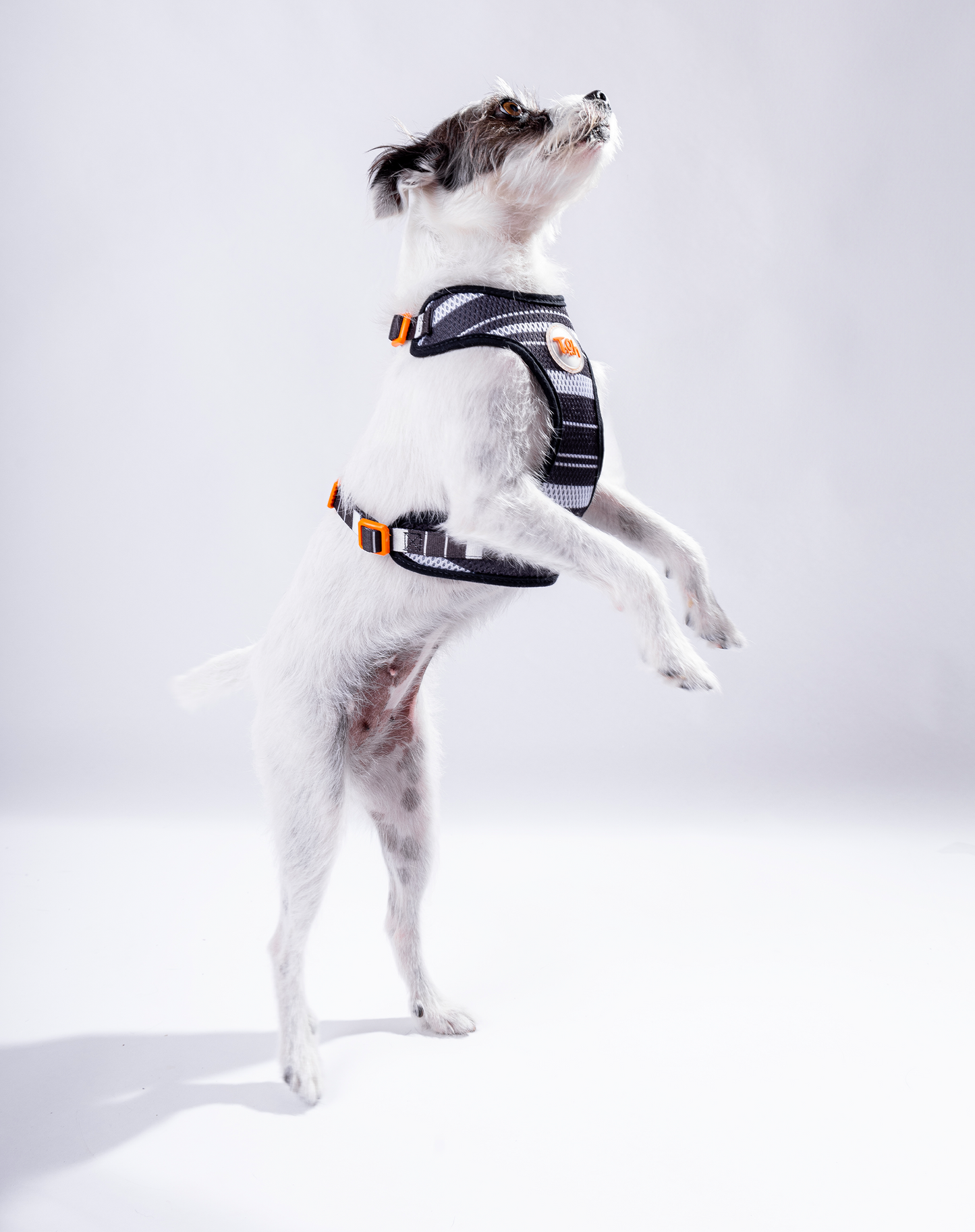 Arnês para cães H-Mesh Eclipse