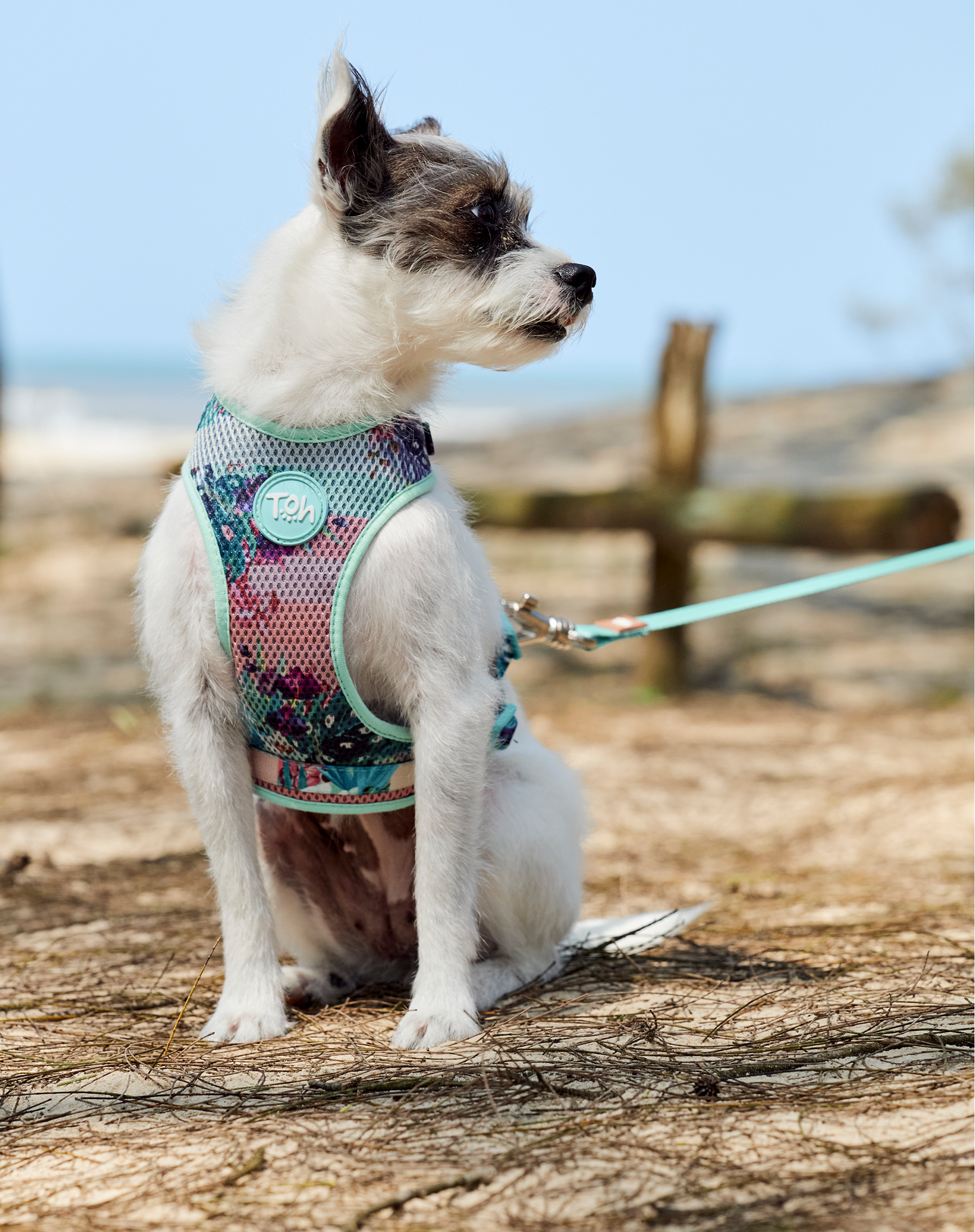 Arnês para cães H-Mesh Laguna