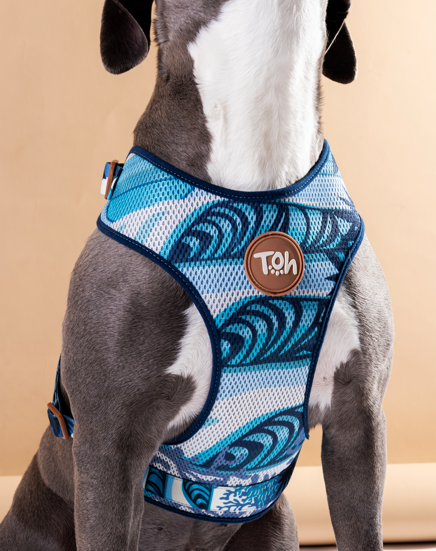 H-Mesh Peitoral para Cães Noronha