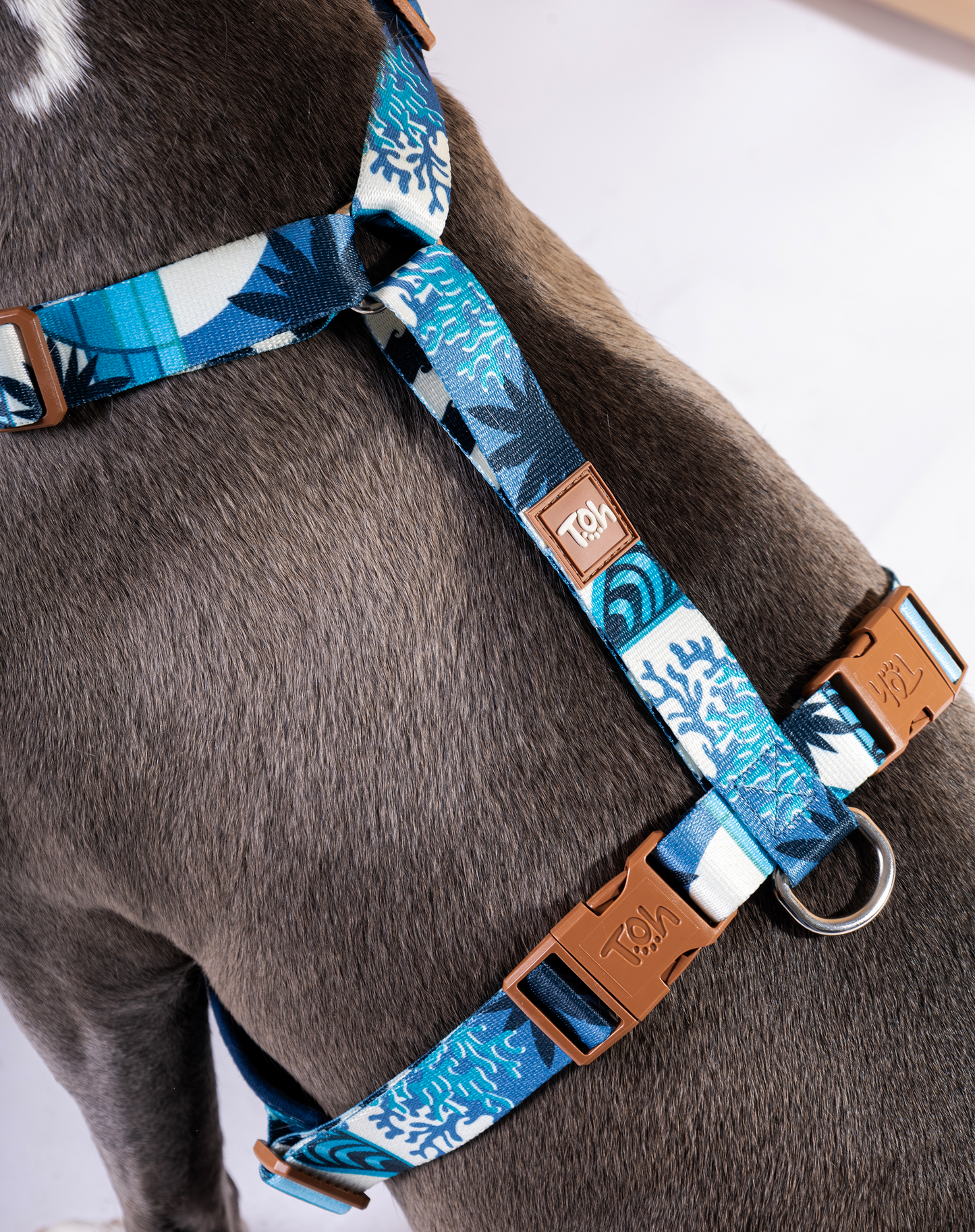 H-Mesh Peitoral para Cães Noronha