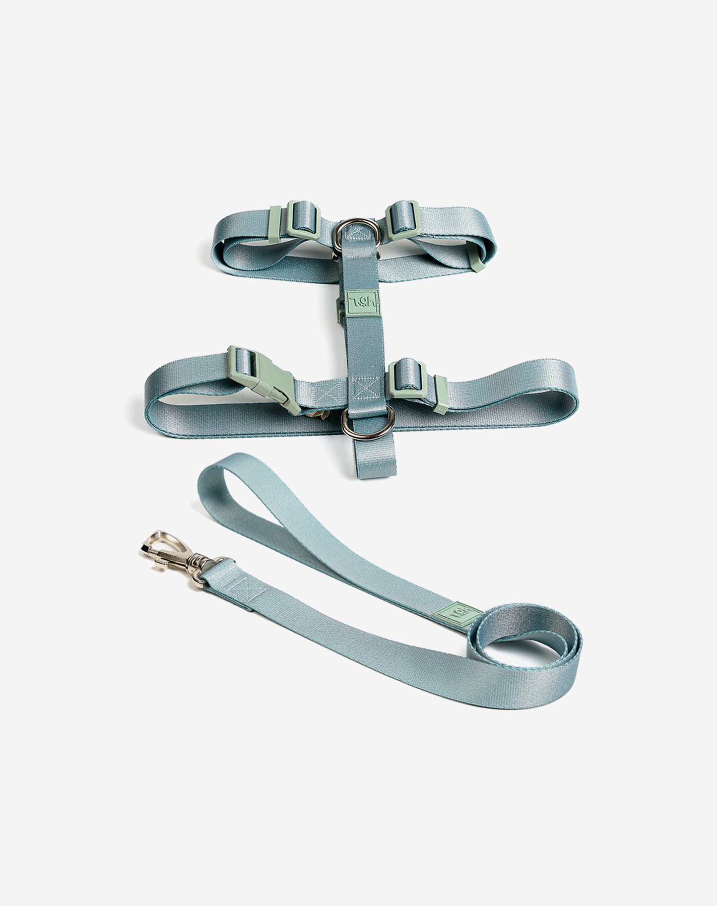 The H-Harness + Leash Set Alga