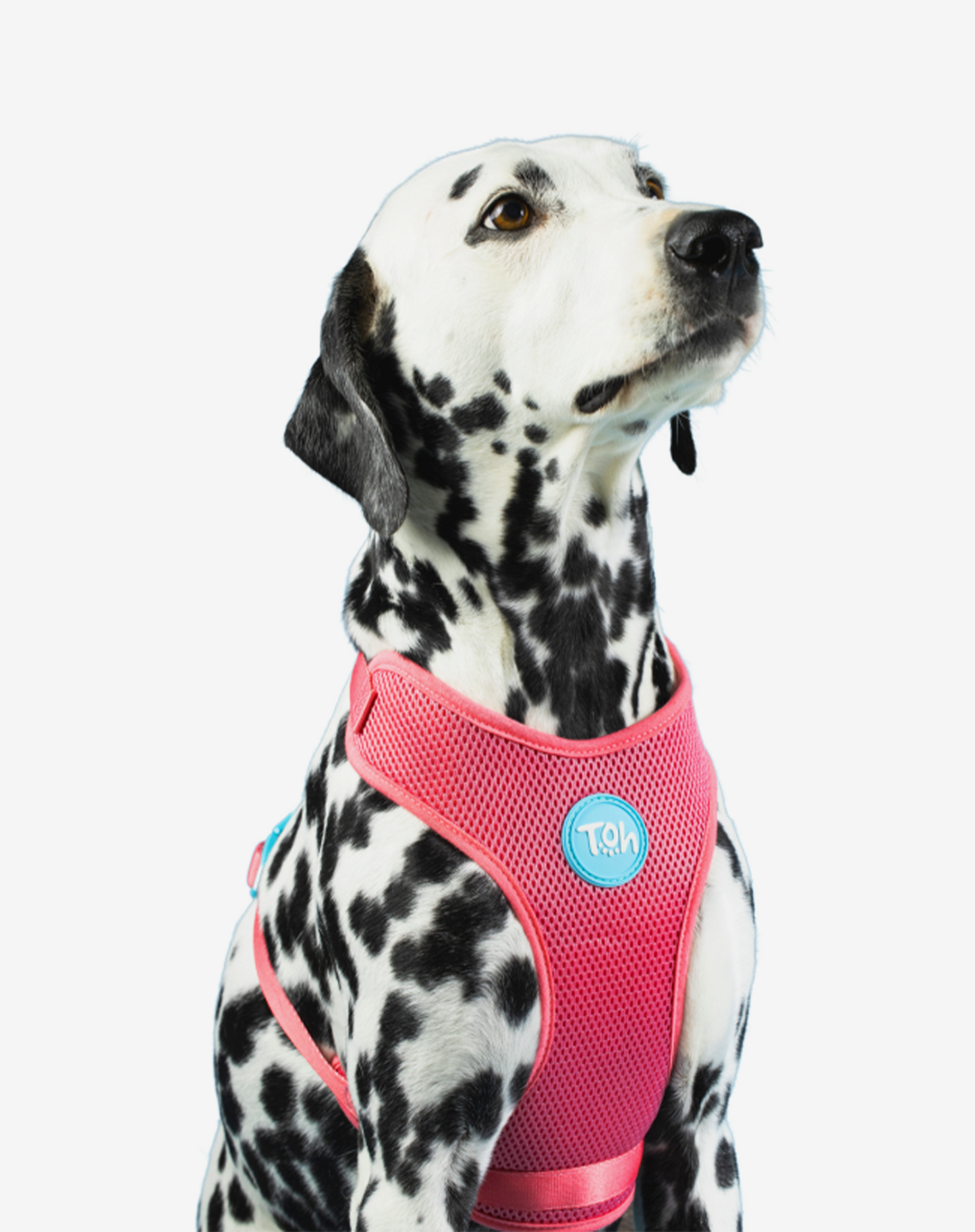 Arnês para cães H-Mesh Fiji
