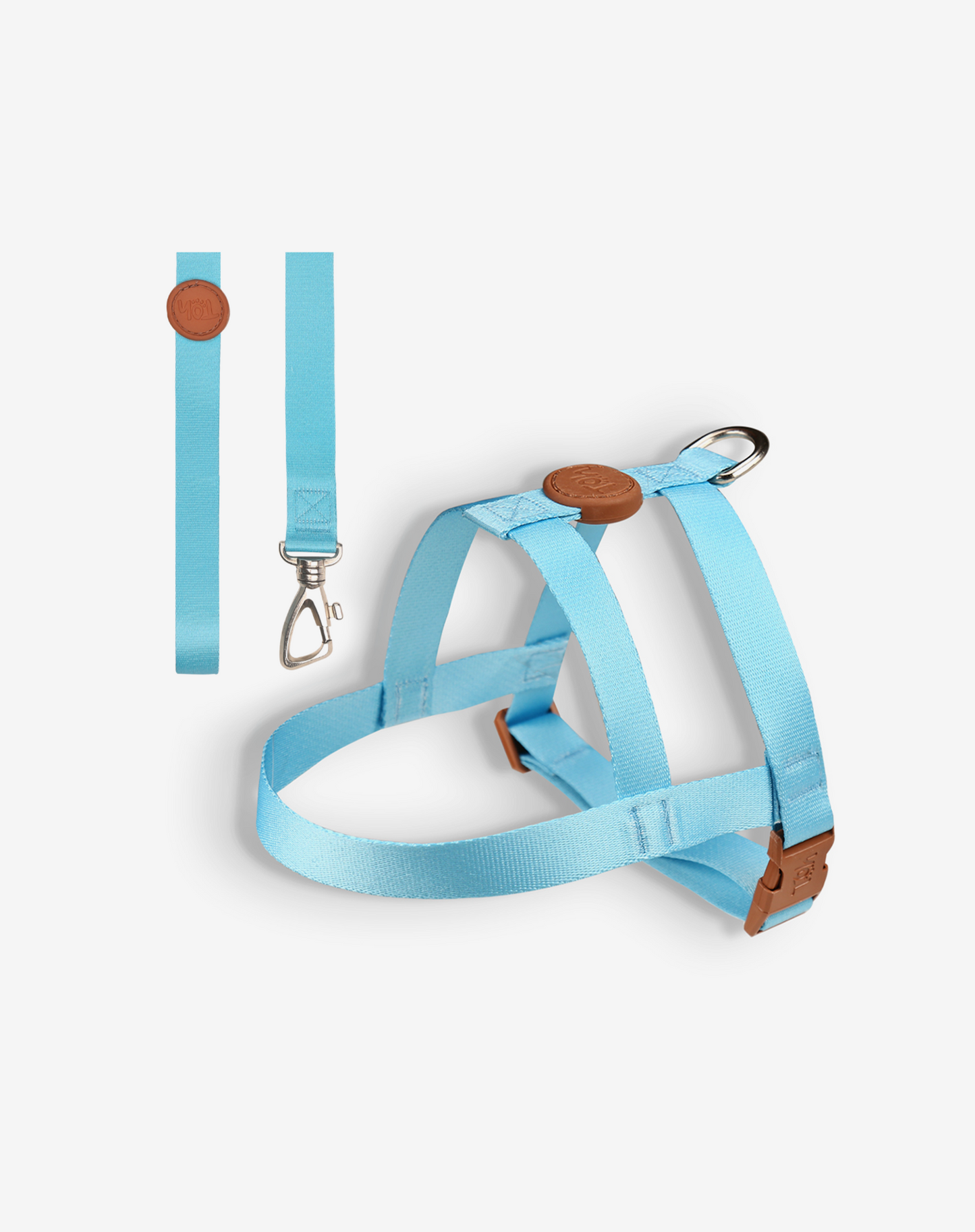 Conjunto básico de arnês e guia azul