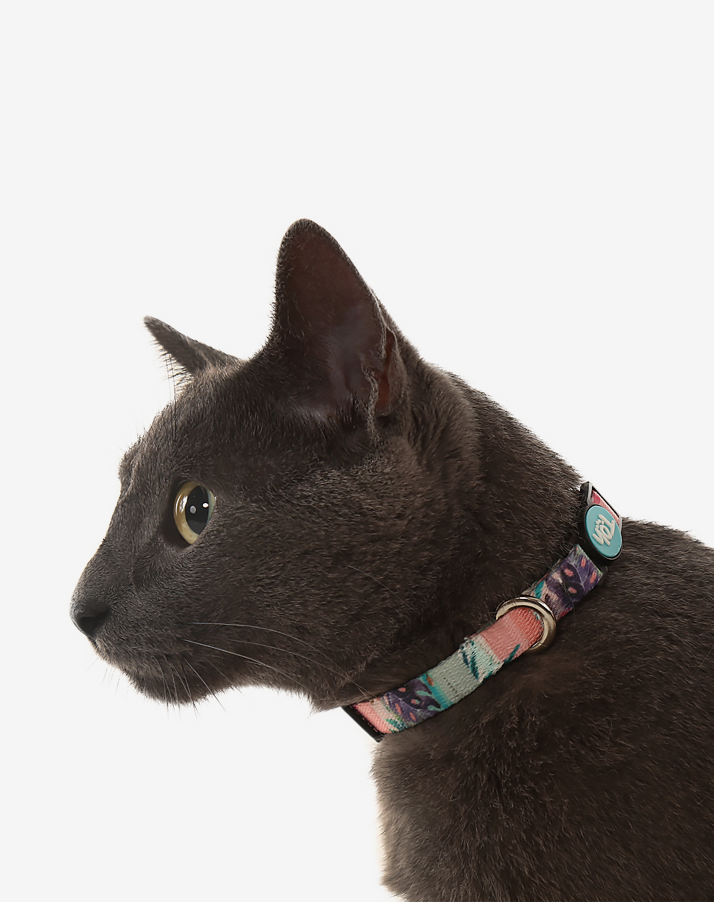 Coleira para gato Laguna
