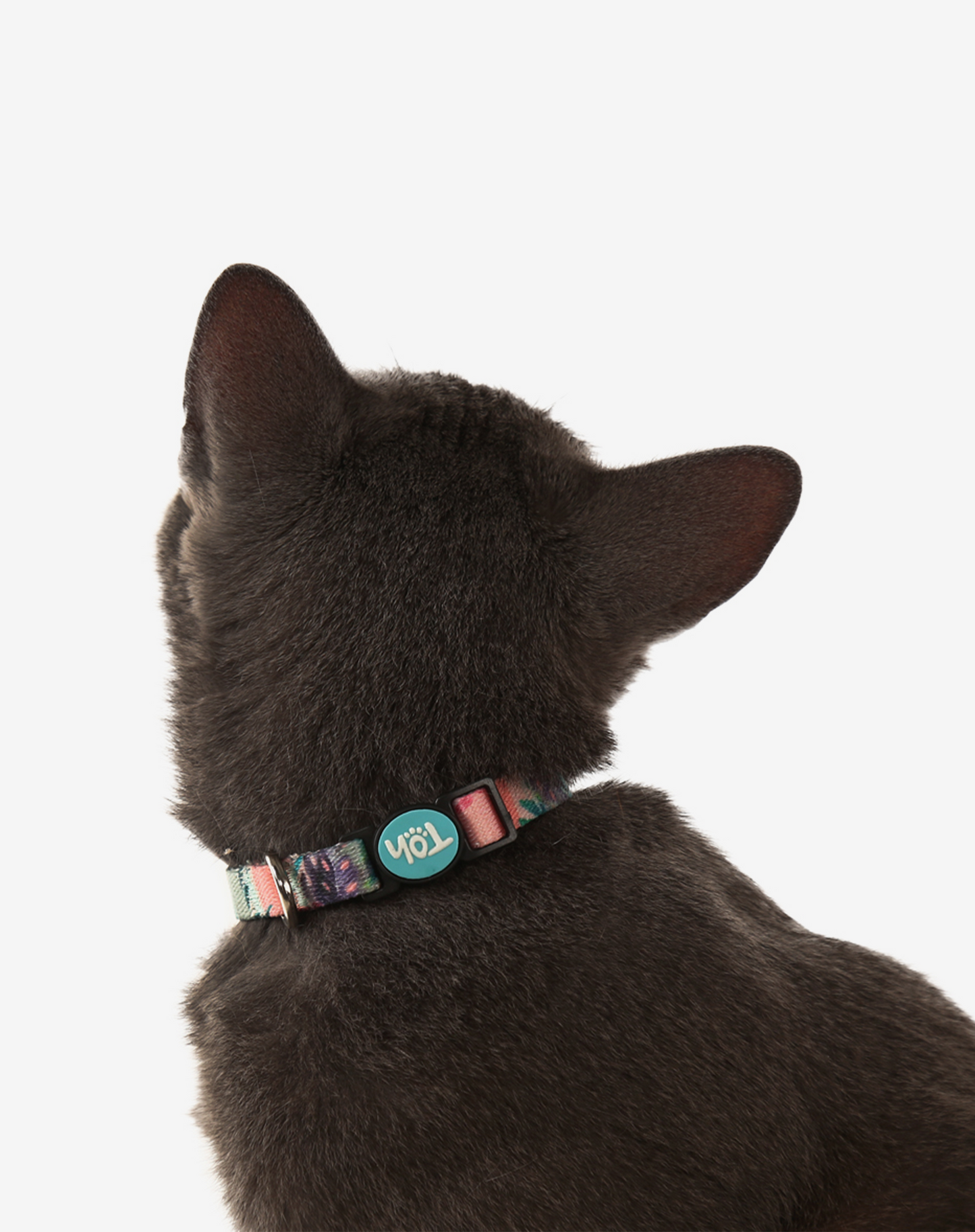 Coleira para gato Laguna
