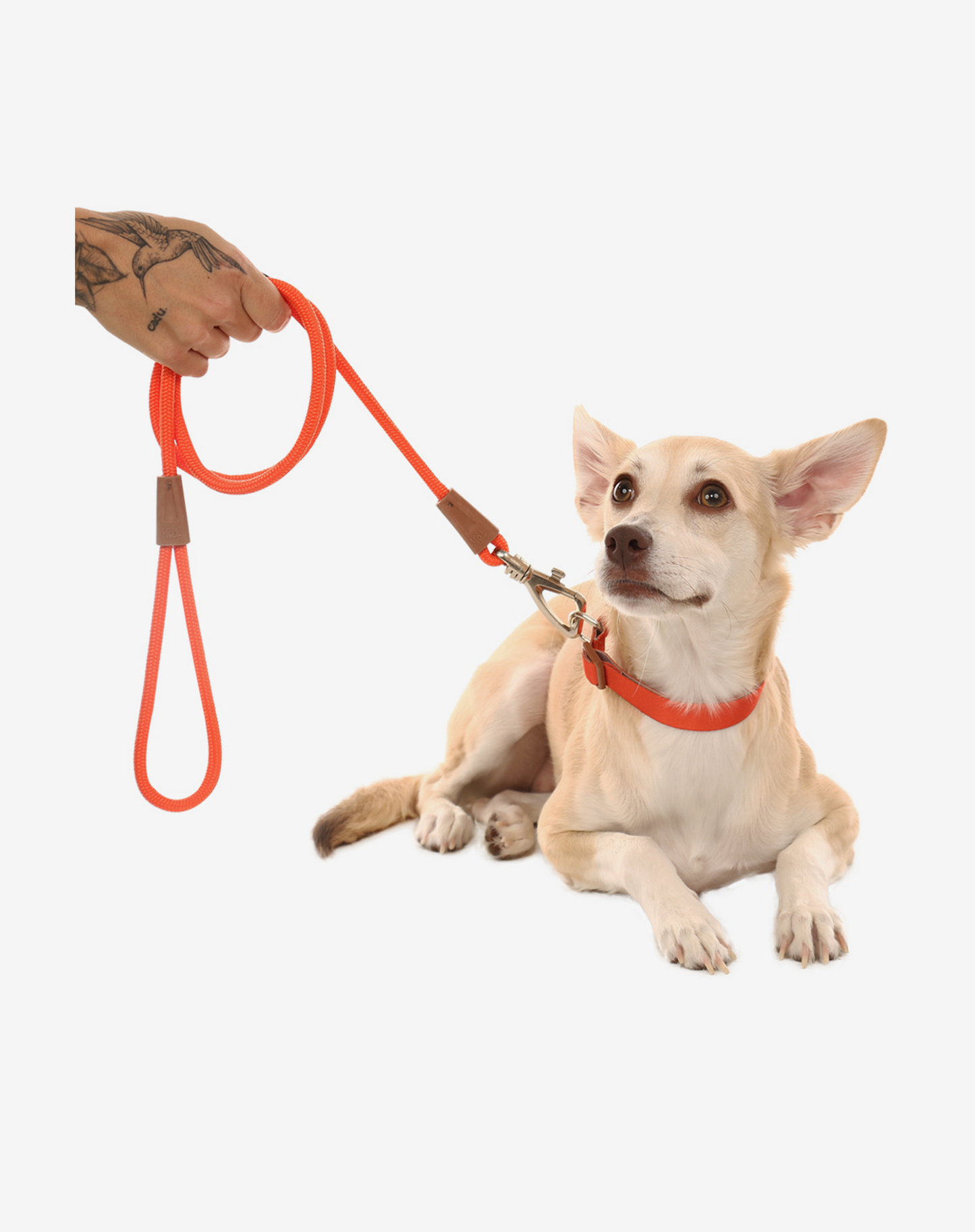 1,20m Corda Coleira de Cachorro Laranja