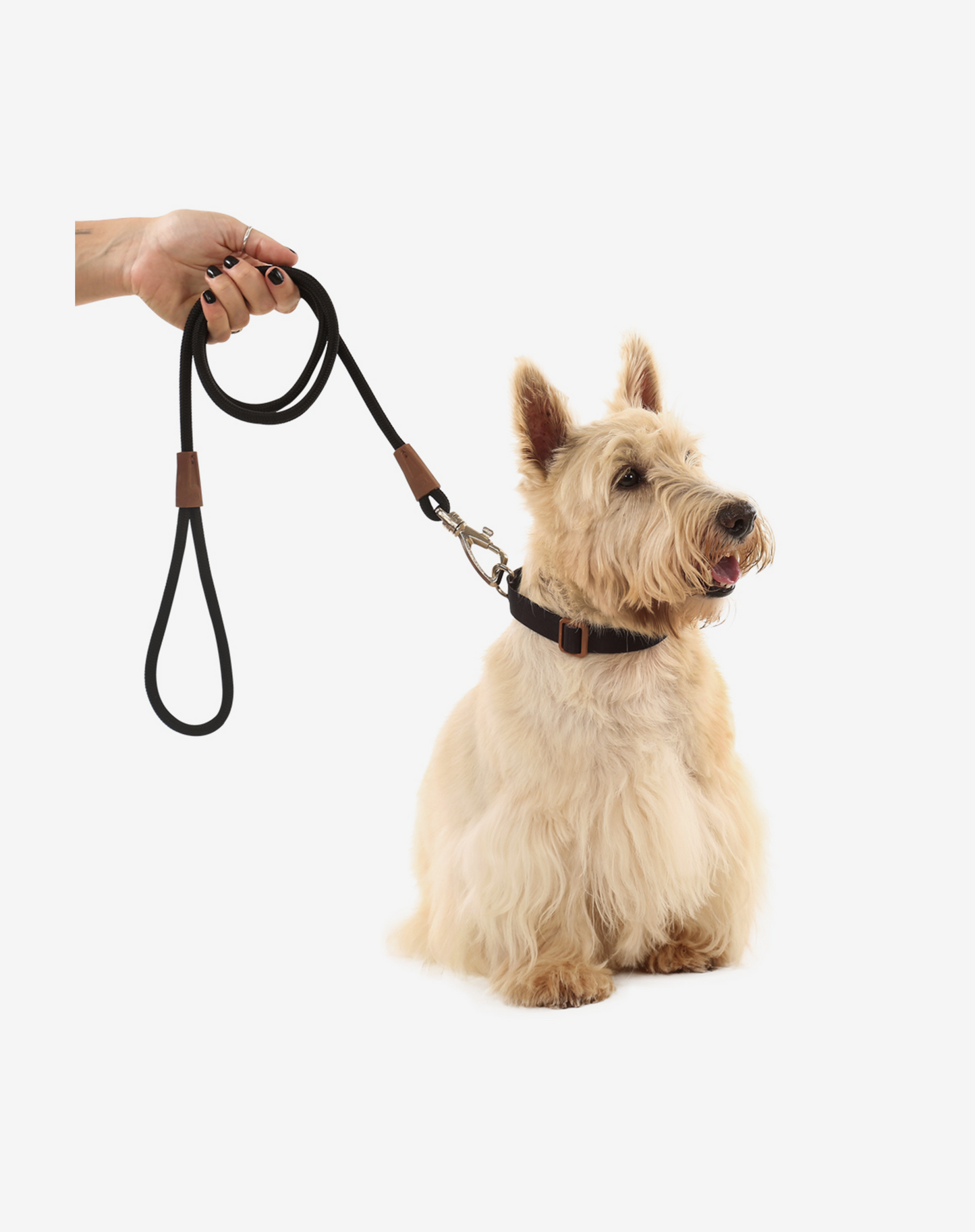 1,20 m Corda Coleira de Cachorro Preta