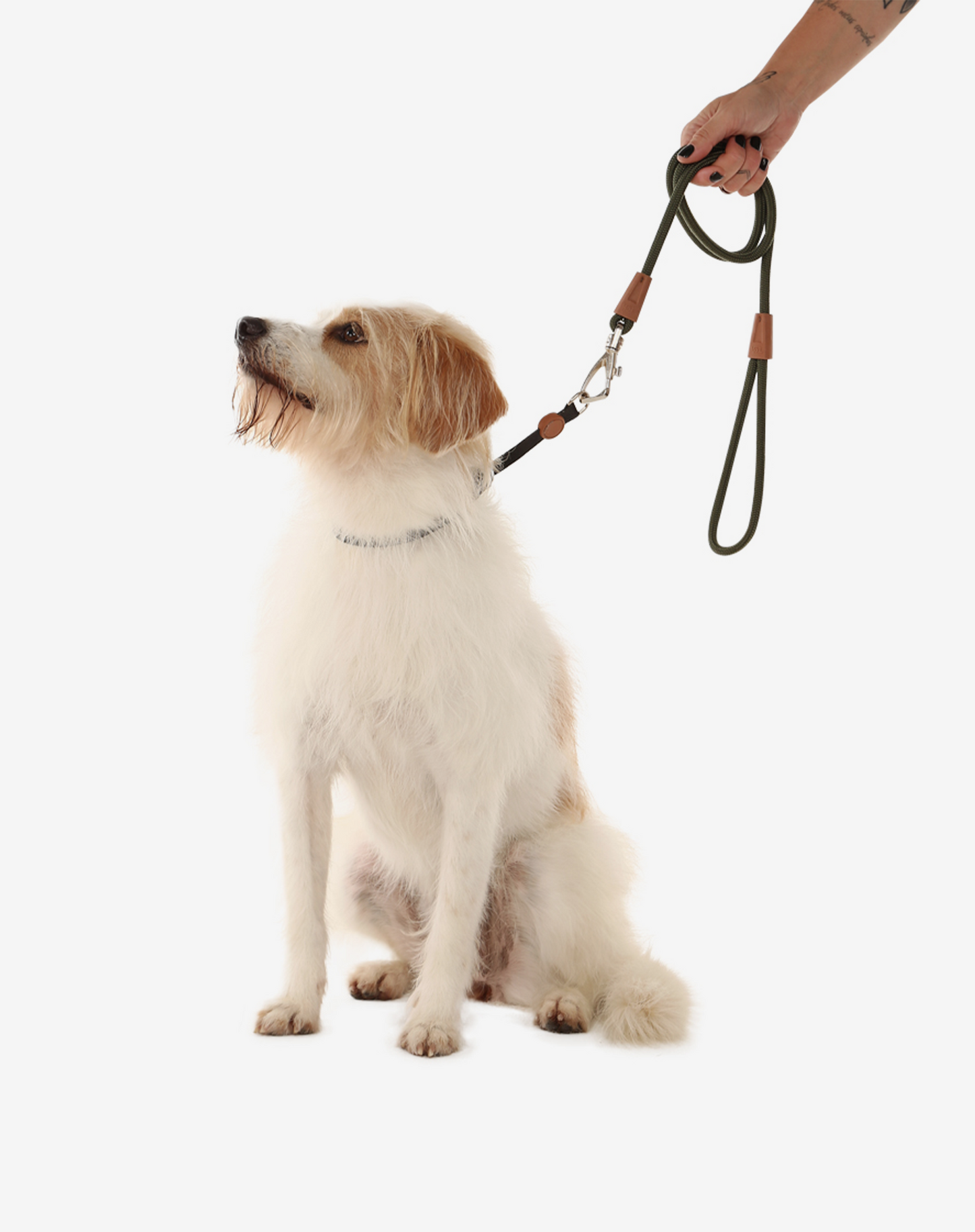1,20 m Corda Coleira de Cachorro Moss
