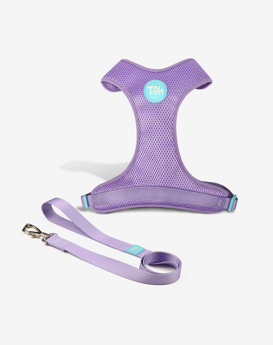 H Mesh Dog Harness + Leash Lilac