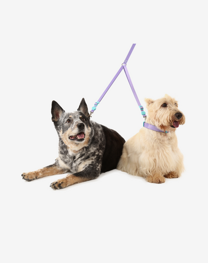 Double Leash Lilac