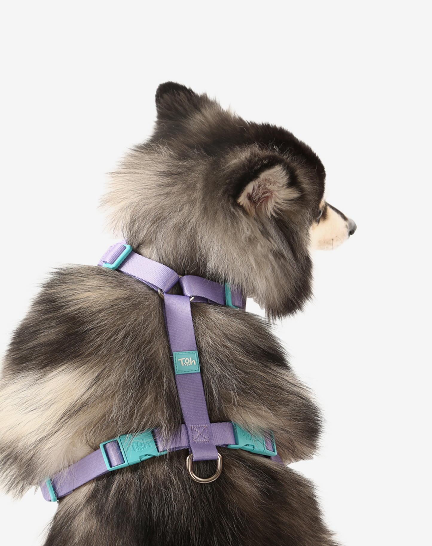 H Mesh Dog Harness + Leash Lilac