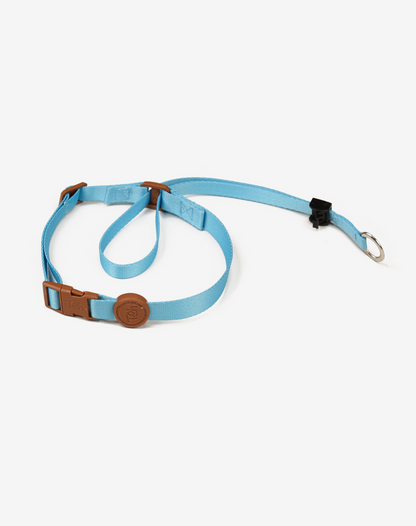 Coleira de cachorro azul