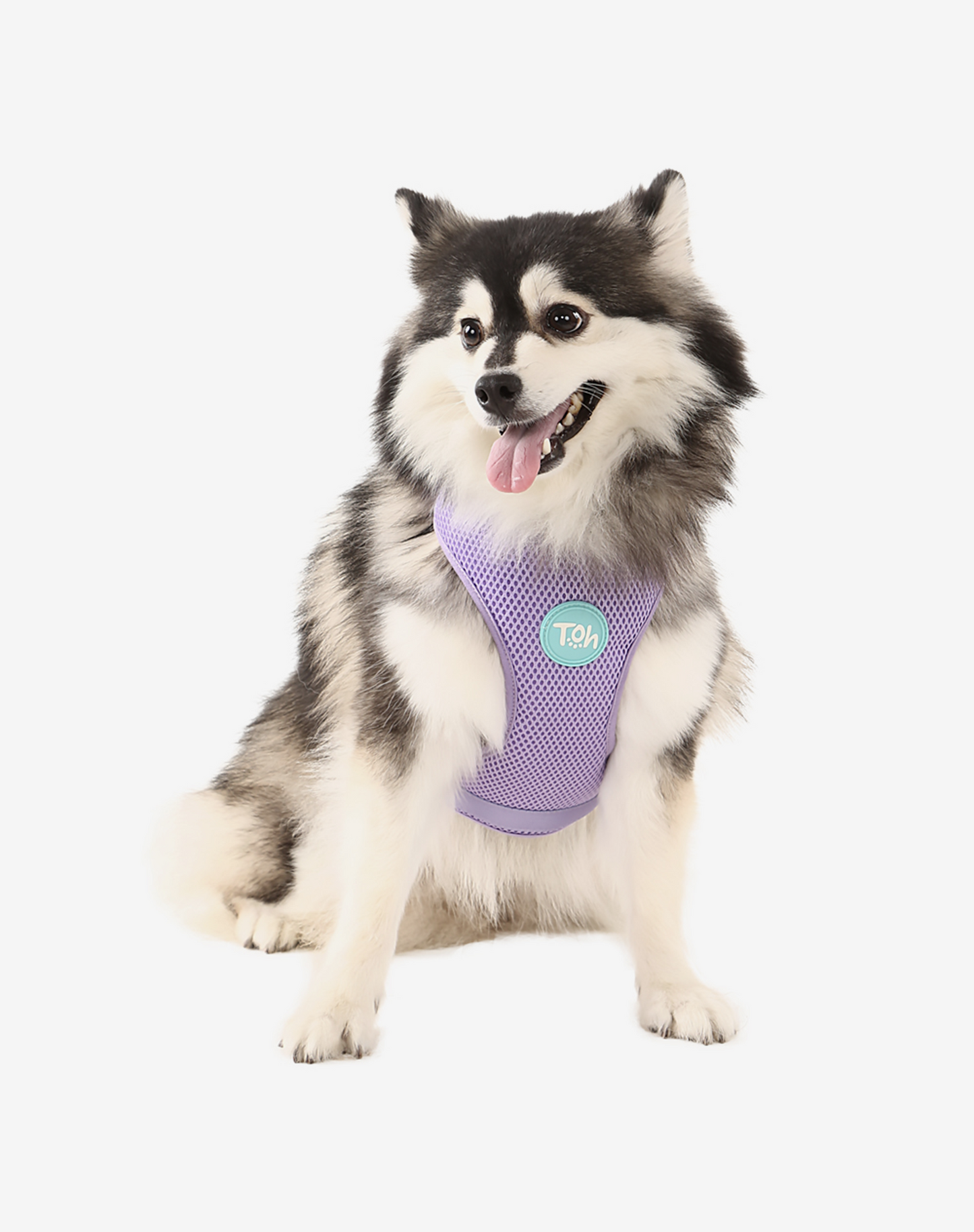 H Mesh Dog Harness + Leash Lilac