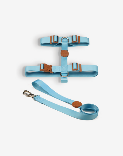 O conjunto H-Harness + Leash azul