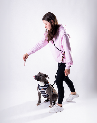 Hands-Free Leashes Black