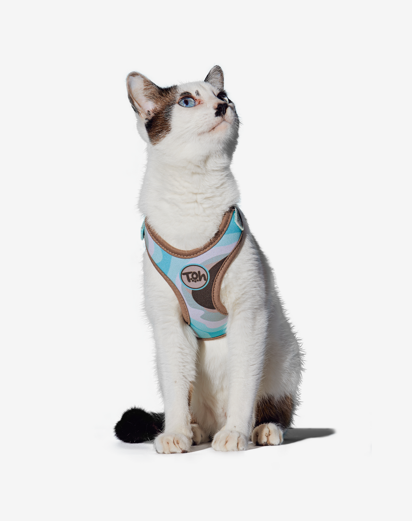 Cat H-Harness Comfort + Leash Set Swell