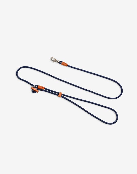 Hands-Free Leashes - Marinho