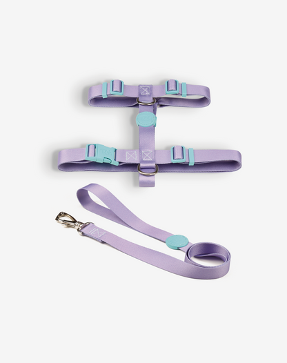 O conjunto H-Harness + Leash Lilás