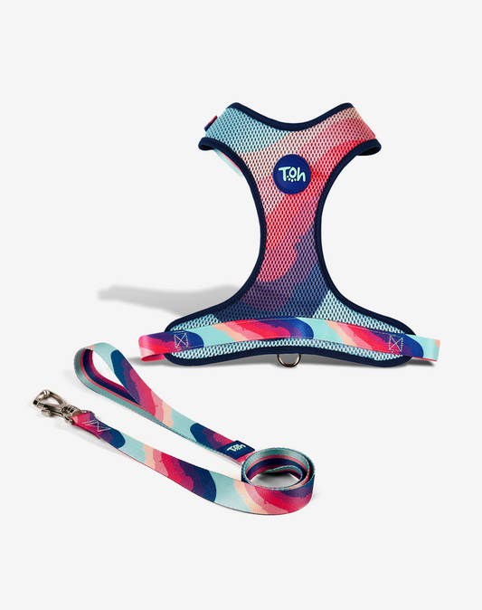 H Mesh Dog Harness + Leash Alpaca