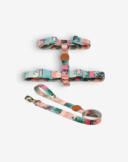 O conjunto H-Harness + Leash Laguna