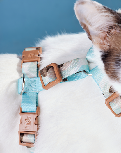 Cat H-Harness Comfort + Leash Set Swell