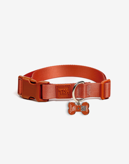 Adjustable Dog Collar with ID Tag Coral