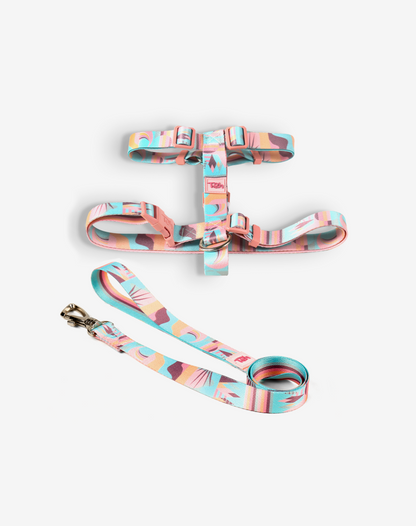 O conjunto H-Harness + Leash Atacama