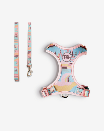 Cat H-Harness Comfort + Leash Set Atacama