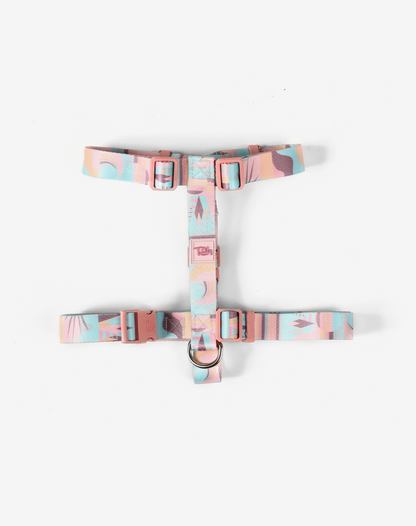 O conjunto H-Harness + Leash Atacama