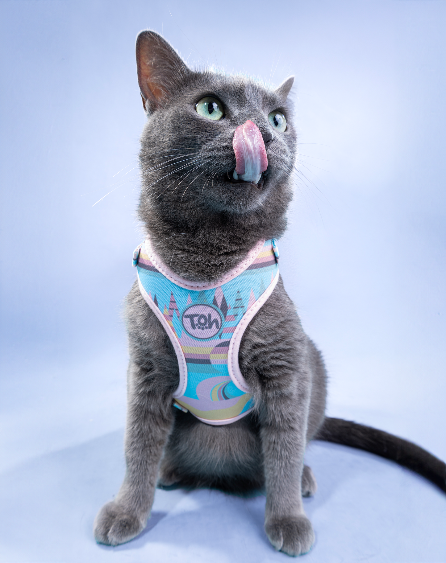 Cat H-Harness Comfort + Leash Set Atacama