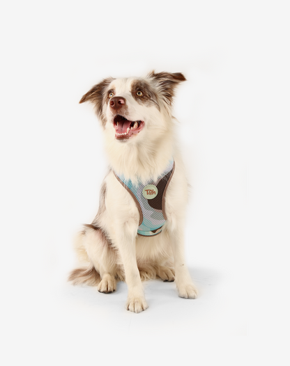 Arnês para cães H-Mesh Swell
