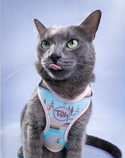 Cat H-Harness Comfort + Leash Set Atacama